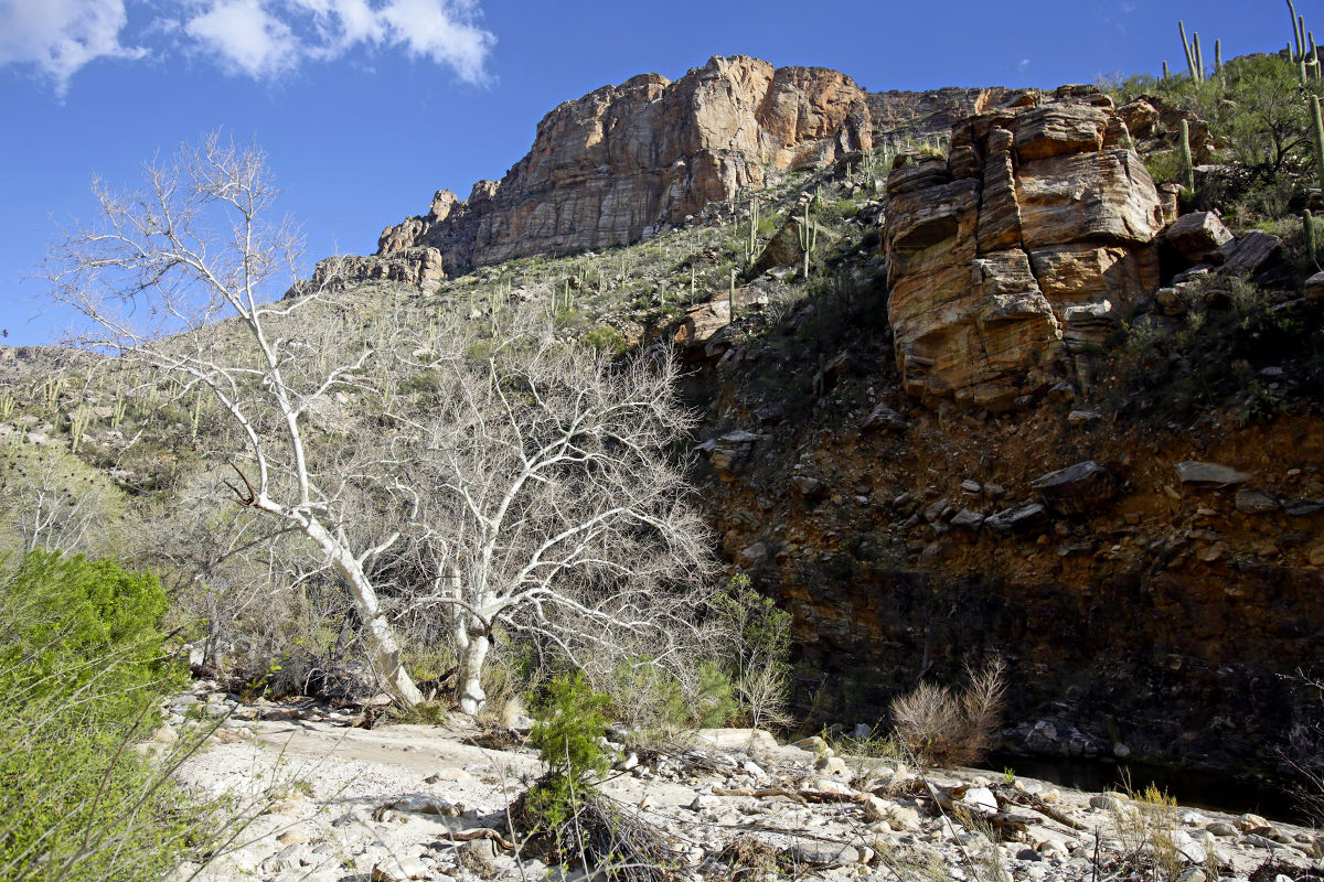 Sabino Canyon